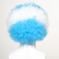 flagwigs, football wigs, fan wigs, afro wigs, mullet wigs, bob wigs, euro wigs,  premier league wigs,Argentina Afro Wig 